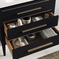 Celios Bathroom Vanity, 30" - Transitional - Bathroom Vanities And Sink ... pertaining to Celios Bathroom Vanity, Black With Brass Trim, 30", Single Sink, Freestanding