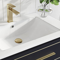 Celios Bathroom Vanity, 30" - Transitional - Bathroom Vanities And Sink ... with Achieving a Luxurious Bathroom Look with a Black and Brass Vanity
