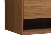 Rabi Single Bathroom Vanity, 40" - Modern - Bathroom Vanities And Sink ... pertaining to Rabi Single Bathroom Vanity, Walnut Brown, 24"