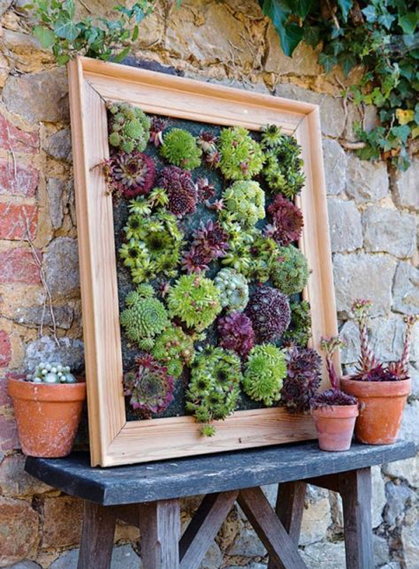 20 Gorgeous Succulent Wall Art To Display Houseplants - Obsigen in The Art of Displaying Succulent 1 on Rugged Wooden Blocks Creative Ideas