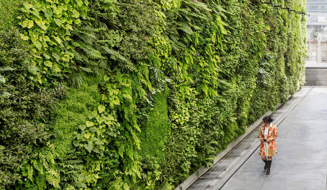 An Architect's Guide To: Green Walls - Architizer Journal inside