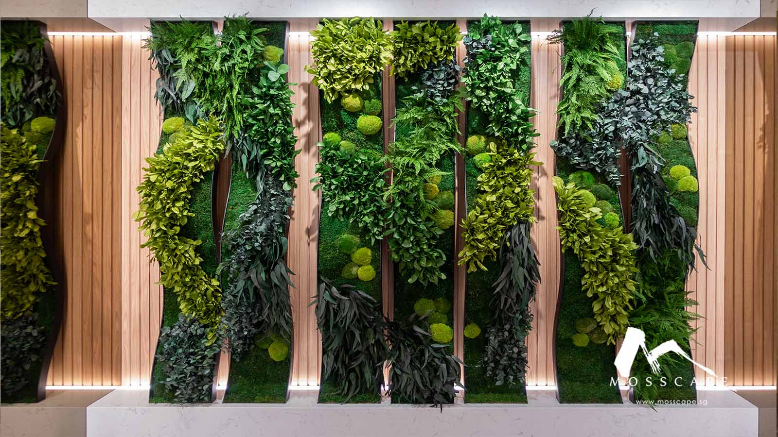 Different Types Of Vertical Green Walls In Singapore | Mosscape within