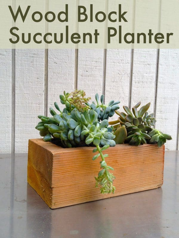 Make Succulent Planters From Wood Blocks intended for