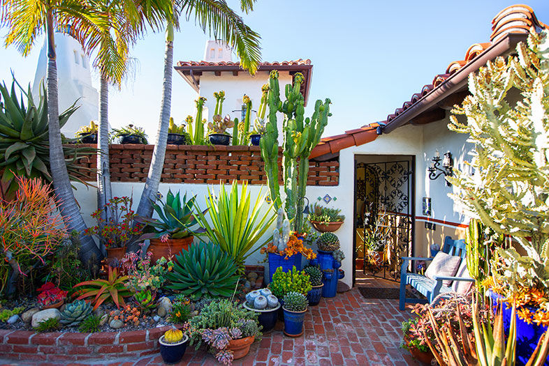Ornamental Landscaping: Wander Through Jim Bishop's Missions Hills ... for Exploring the Heritage of the Mission Hill Mirror Harvest Collection
