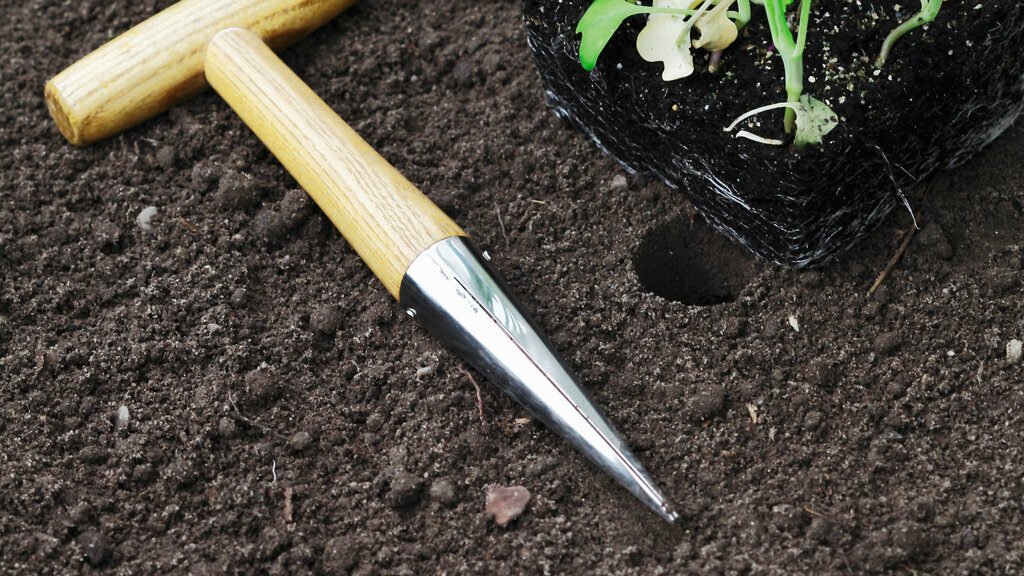 Plant Propagation Equipment: 16 Necessary And Nice To Have Gardening ... regarding Essential Tools and Techniques for Plant Propagation at Home