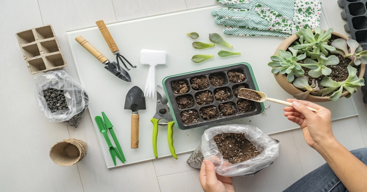Plant Propagation Techniques - Giy Plants regarding