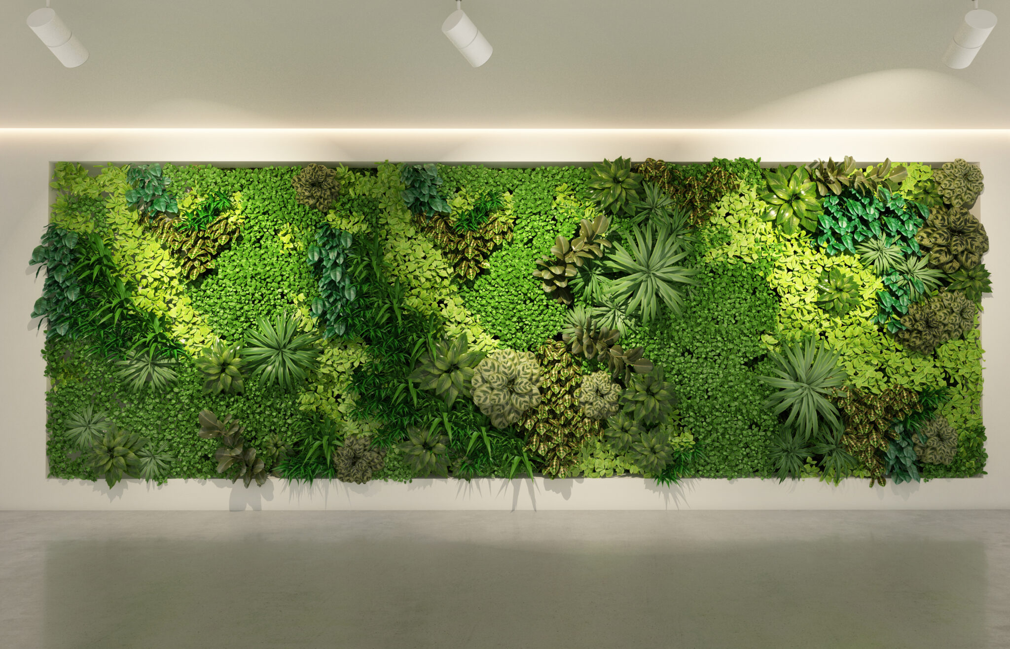 Residential Green Wall: Everything You Need To Know | Epic Energy inside