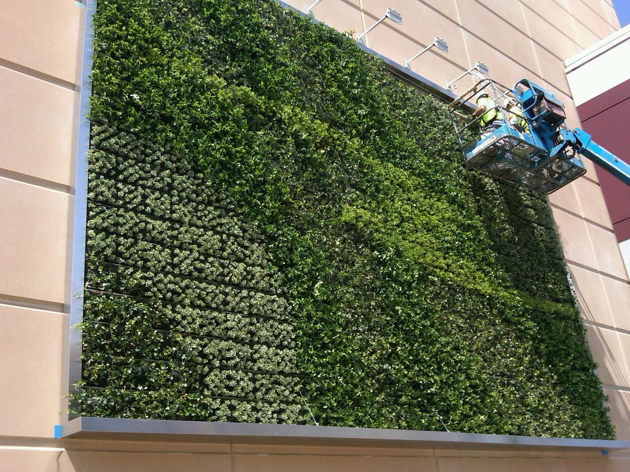Ultimate Guide To Living Green Walls: What Are They? | Verticale Tuinen ... with regard to Green Walls 101 A Comprehensive Guide to Choosing the Right Plants and Systems