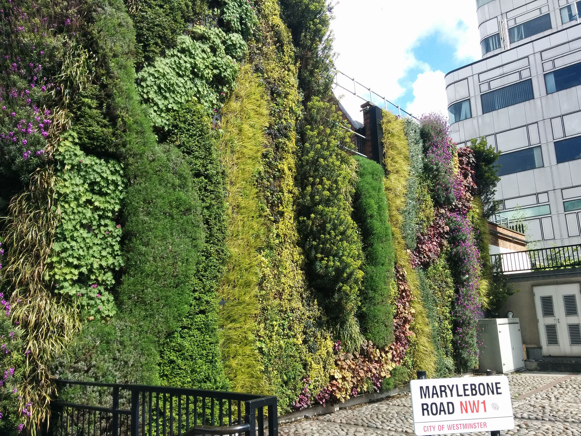 What Are Living Green Walls | Benefits &Amp; How They're Made inside Green Walls 101 A Comprehensive Guide to Choosing the Right Plants and Systems
