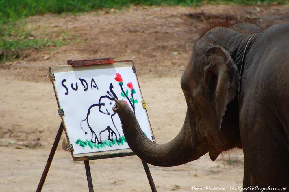 Beyond The Canvas: Suda And Her Elephant Family’s Heartwarming Painting ... for