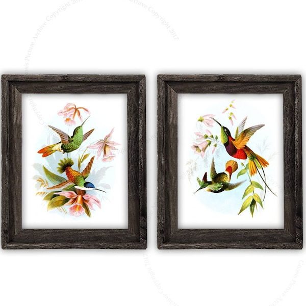 Hummingbird Wall Art - Etsy inside