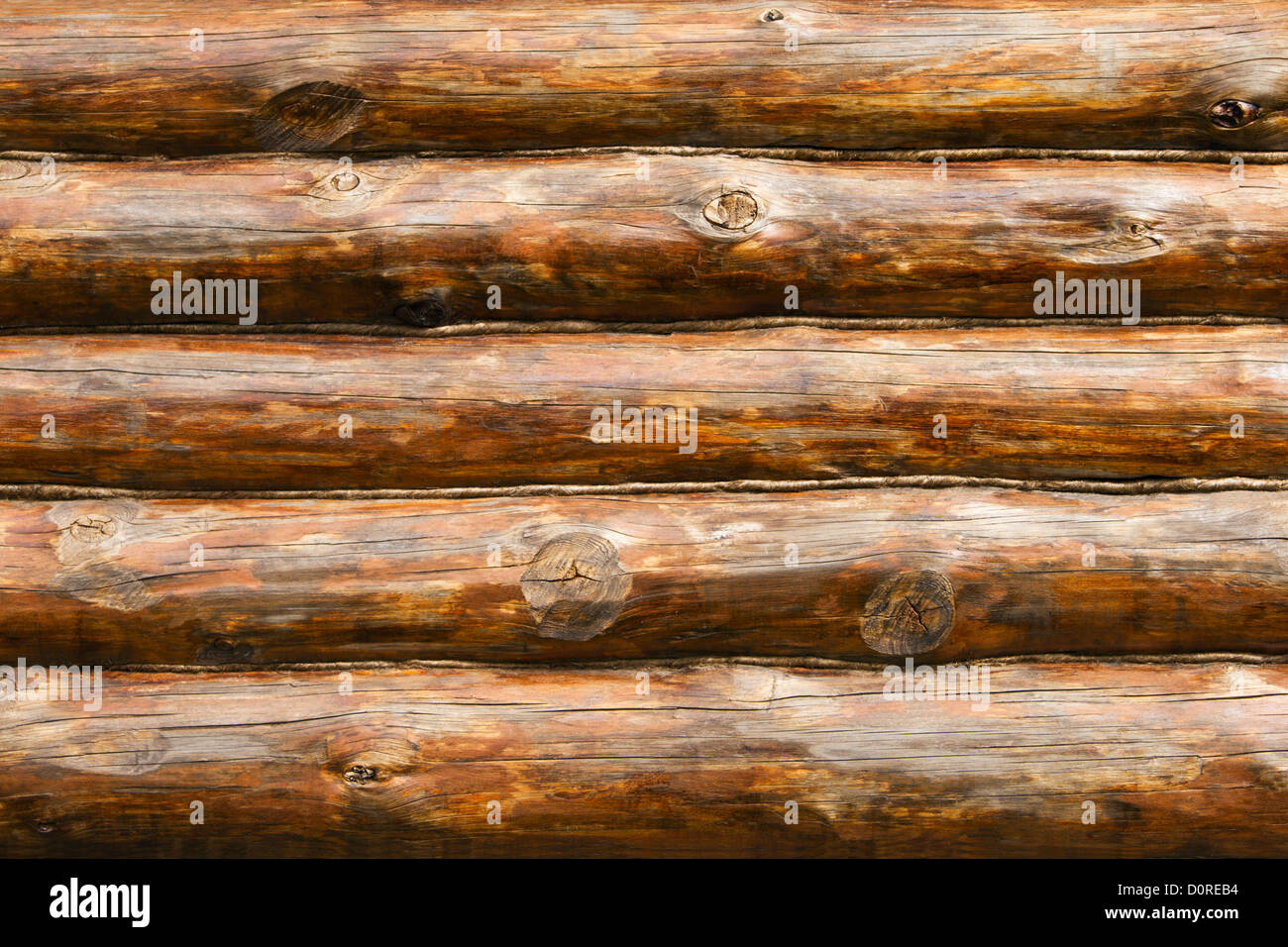 Interior Of Rustic Log Home Cabin Hi-Res Stock Photography And Images ... in The Evolution of Pine Walls From Rustic to Refined Spaces