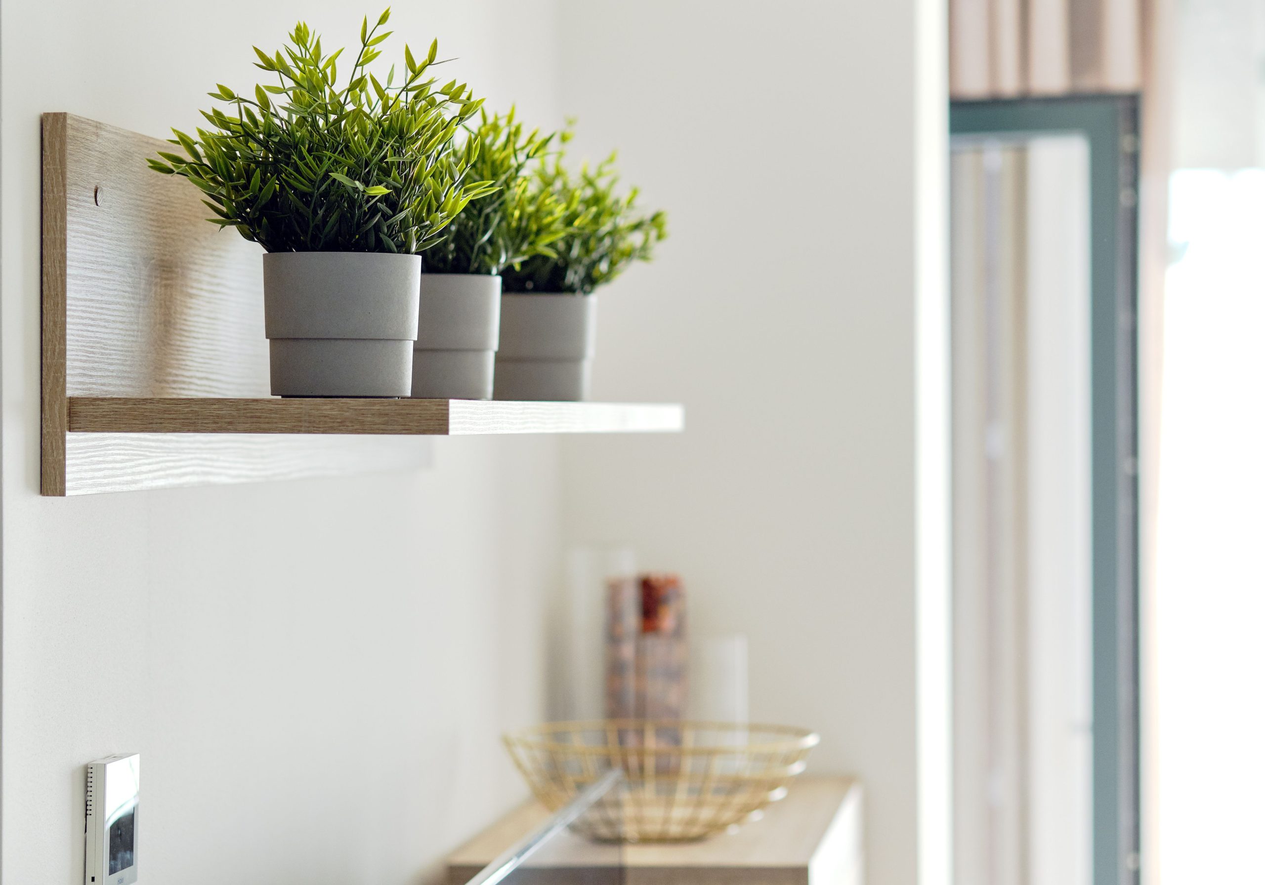 Properly Space Your Shelves And Wall Supports | Indoor Plant Shelves ... for Choosing Your Perfect Rustic Hanging One Shelf Rack A Guide