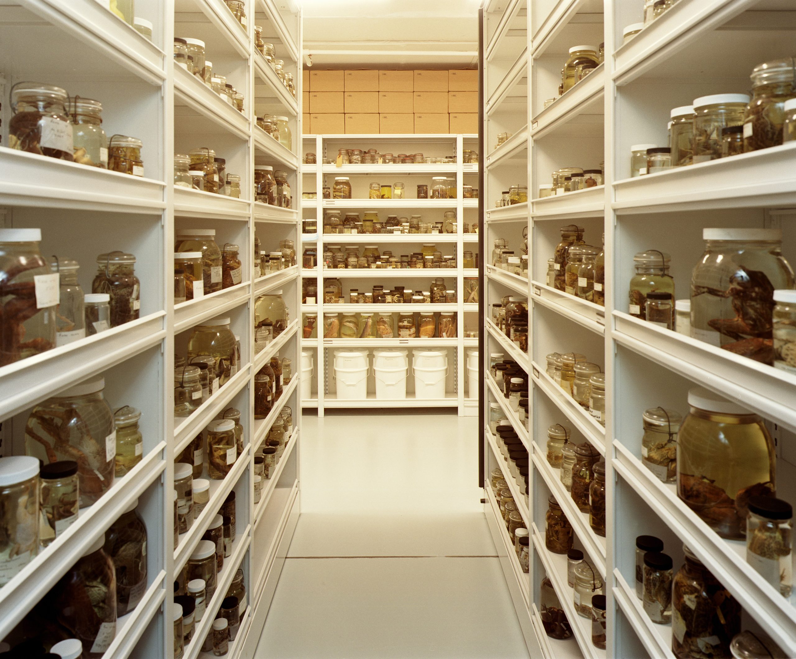 Storage Solutions For Museum Collections | Systems &Amp; Space - Systems ... regarding