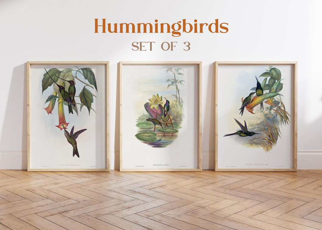 Vintage Hummingbirds Gallery Wall Set, Hummingbirds Art Print, Bird ... regarding From Idea to Installation Crafting Your Own Hummingbird Wall Art Set