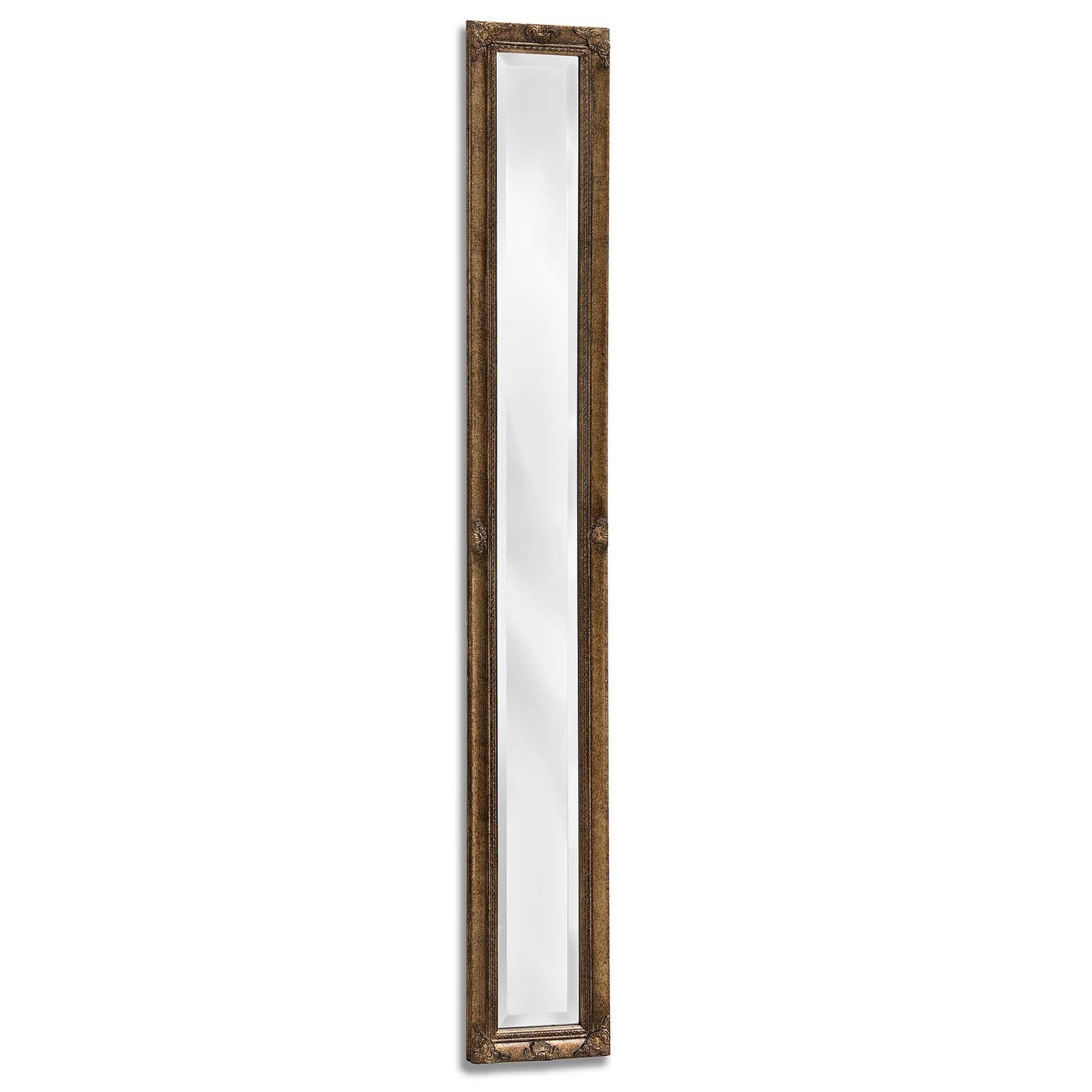 20 Inspirations Tall Narrow Wall Mirrors inside