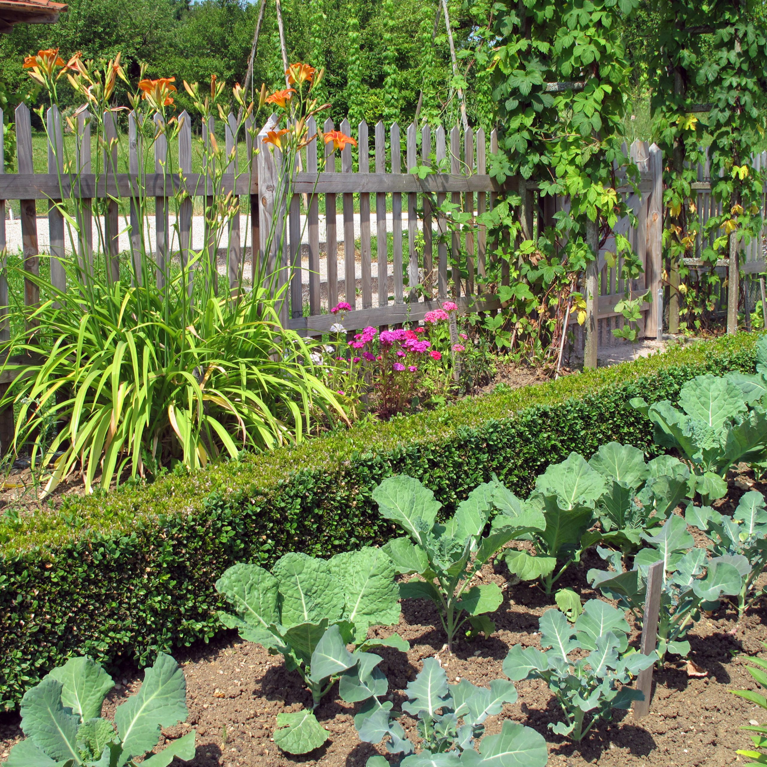 Build A Dry-Stack Stone Retaining Wall The Right Way regarding The Secrets to a Thriving and Lush Living Wall