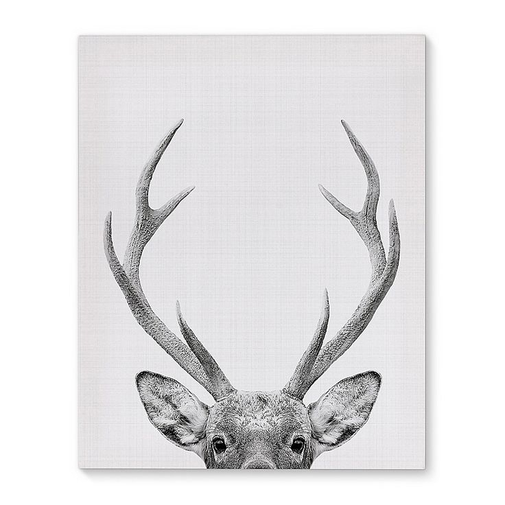 Deer Canvas Wall Art In Black/White | Bed Bath &Amp; Beyond | Deer Decor ... with regard to