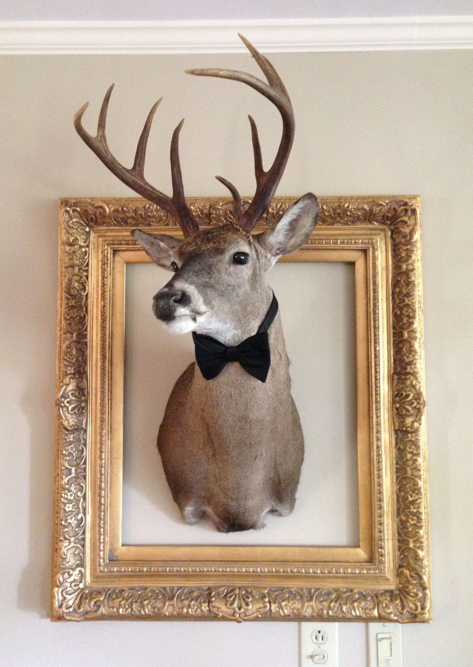 Frame The Deer Head With Gold Frame And Bow Tie | Deer Head Decor, Deer ... inside