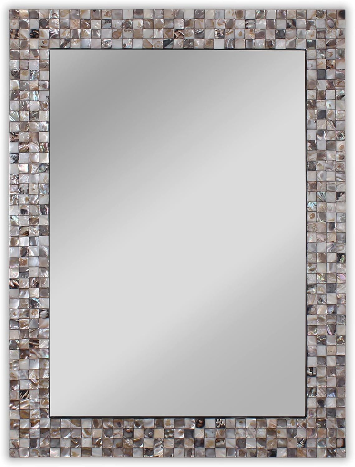Amazon.com: Chloe Lighting Reflection Verical/Horizontal Hanging ... for Unveiling the Allure of the Chloe's Reflection Seashell Mirror