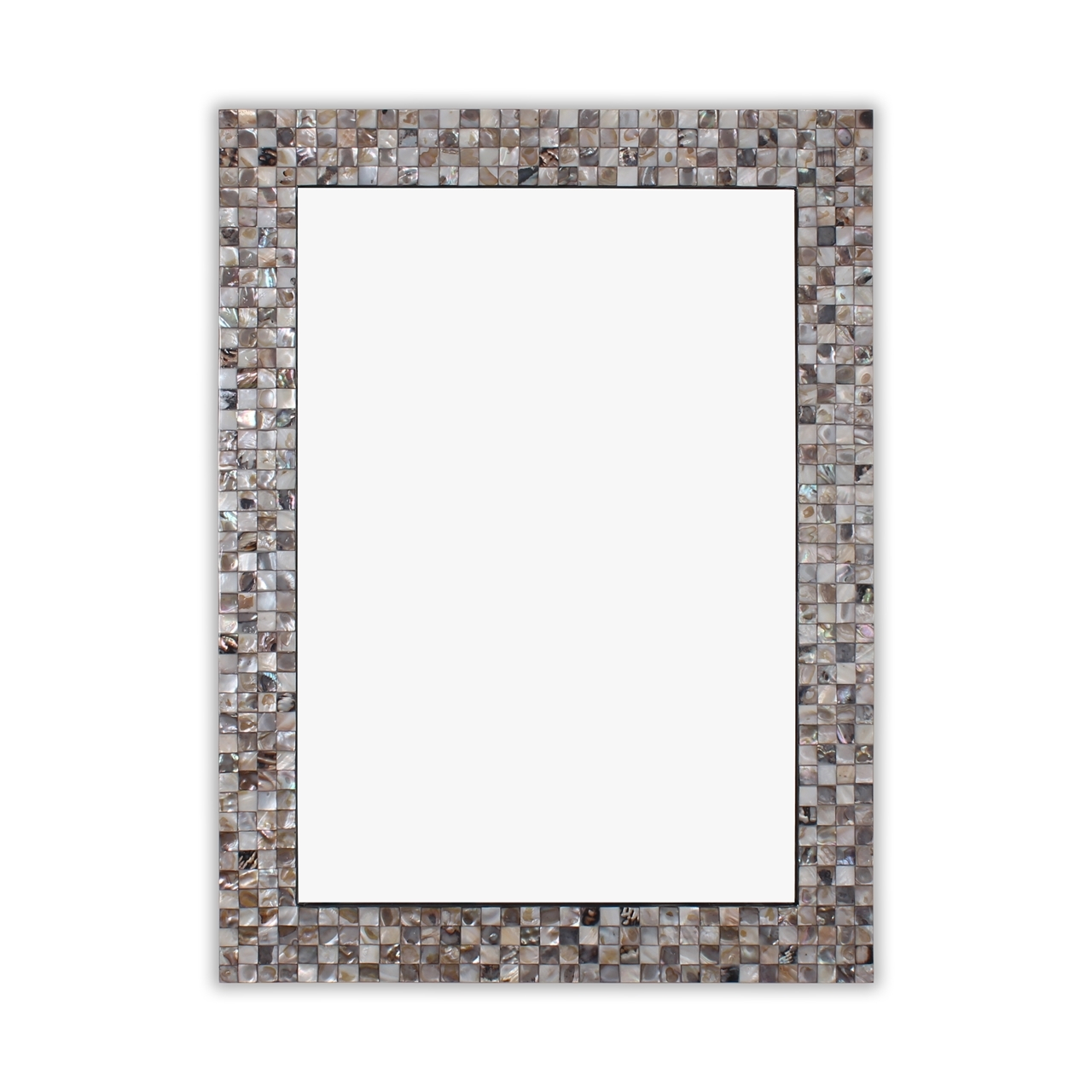 Chloe's Reflection Vertical/Horizontal Hanging Seashell Finish ... regarding Unveiling the Allure of the Chloe's Reflection Seashell Mirror