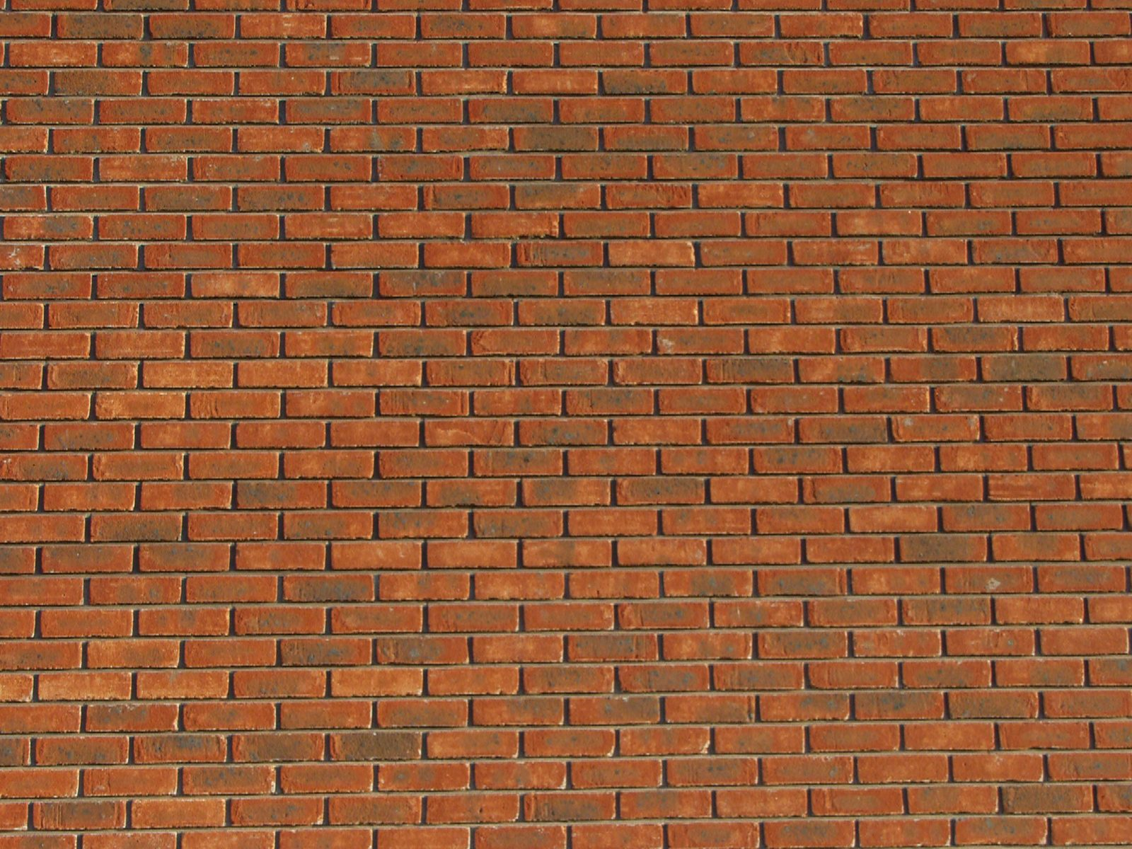Detailed Texture Of Red Brick Wall With Brown Mortar Free Stock Photo ... with Wall Units vs Shelves vs No Storage What's Right for Your Kitchen