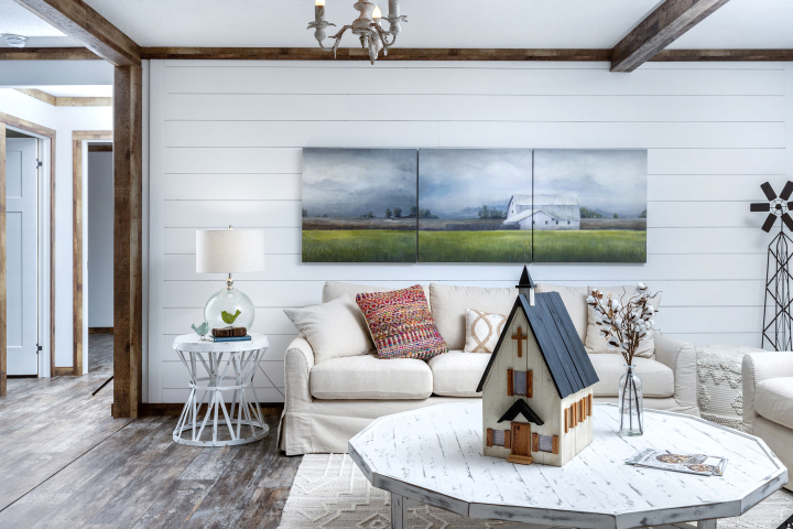 Farmhouse Themed Living Room With White Shiplap Accent Wall. Eclectic ... for