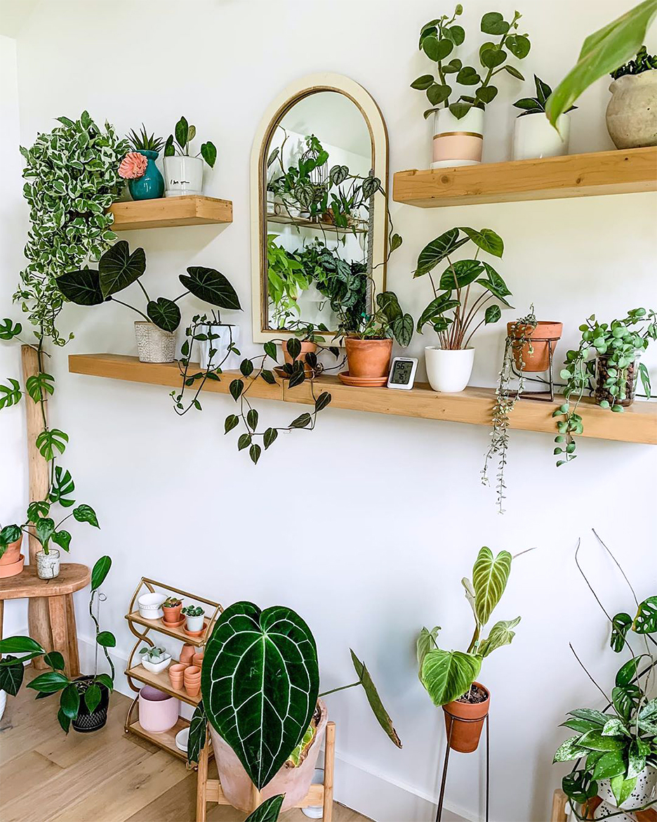 12 Ways To Arrange Your Perfect Indoor Plant Shelf - Domino within Shelf For Plants Indoor