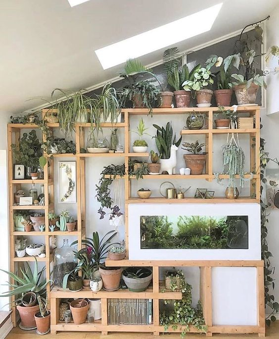 25+ Creative Ways To Arrange Your Indoor Plant Shelf | Momooze.com with regard to Shelf For Plants Arrangement