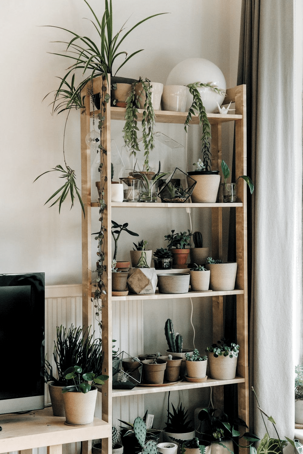34 Beautiful Indoor Plants Decor For Living Room | Tall Plant Stand ... for Maximizing Your Vertical Space: Creative Shelf Designs for Indoor Gardens