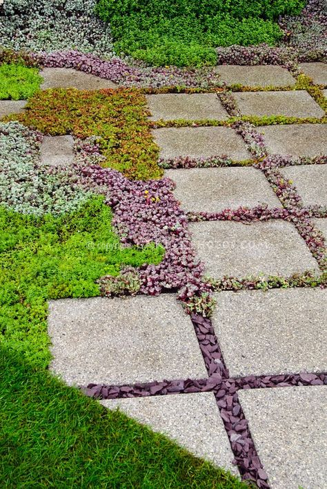 7 Out-Of-The-Box Retaining Wall Ideas | Modern Landscaping, Landscaping ... regarding 7 Out-Of-The-Box Retaining Wall Ideas