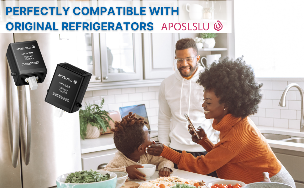 Amazon.com: Subzero Air Purification Cartridge 7007067-Air Filter ... regarding The science behind effective odor elimination in refrigerator air purification technology
