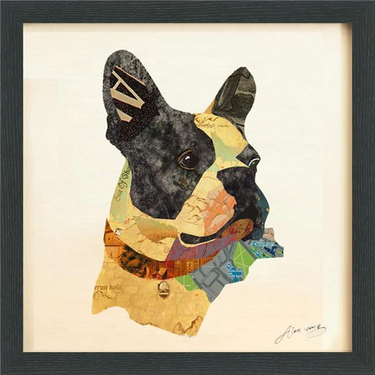 Empire Art Direct 'Boston Terrier Closeup' Alex Zeng's Dimensional ... with "Cia Boombox"Dimensional Collage, Under Glass, A Shadow Box Frame