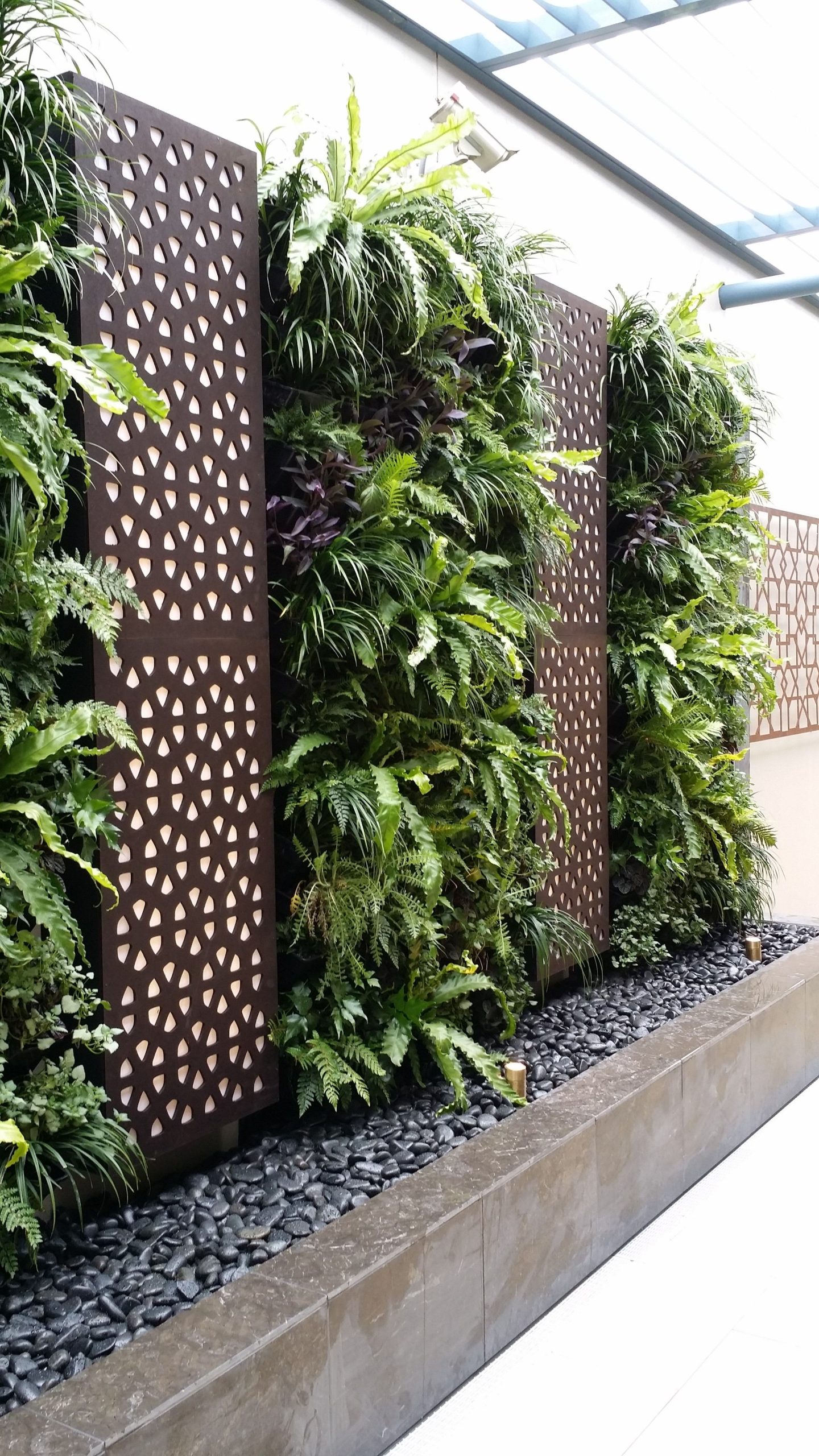 Green Wall – Green Walls | Khd Landscape Engineering Solutions ... in Your Guide to a Thriving Living Wall on Your Patio or Side Yard