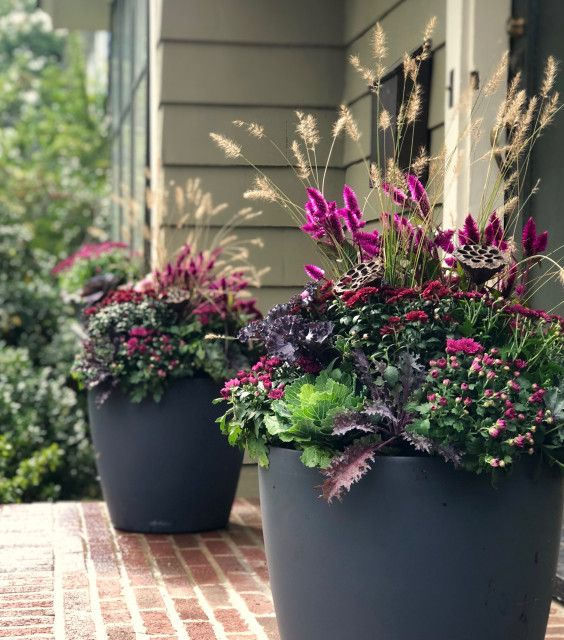 Houzz Call: Show Us Your Fall Container Gardens | Fall Container Gardens, Container Garden ... within Houzz Call: Show Us Your Feature Wall