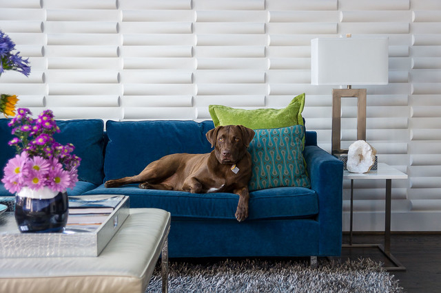 Houzz Call: Show Us Your Pet In Design within Curated Collections Crafting Your Dream Feature Wall