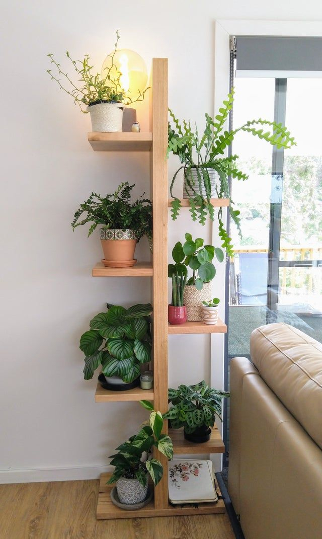 How To Install A Plant Shelf At Virginia Barr Blog within How to Design Beautiful Plant Shelves That Actually Work