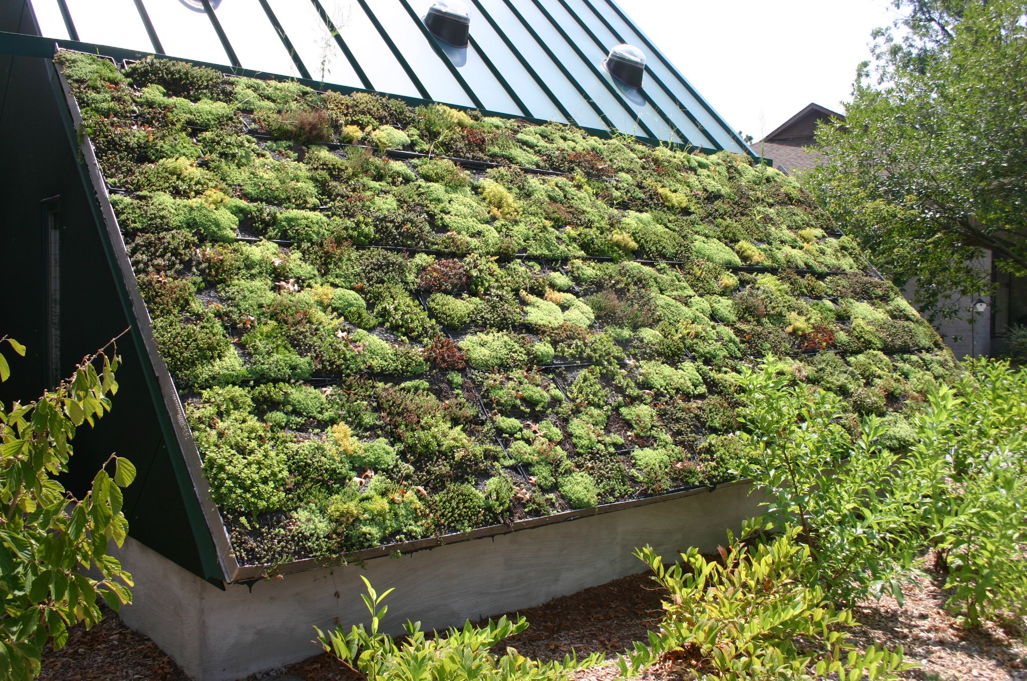 Sod Roof | Green Roof Garden, Living Green Roof, Green Roof Installation in Bring More Green To Your Patio Or Side Yard With A Living Wall