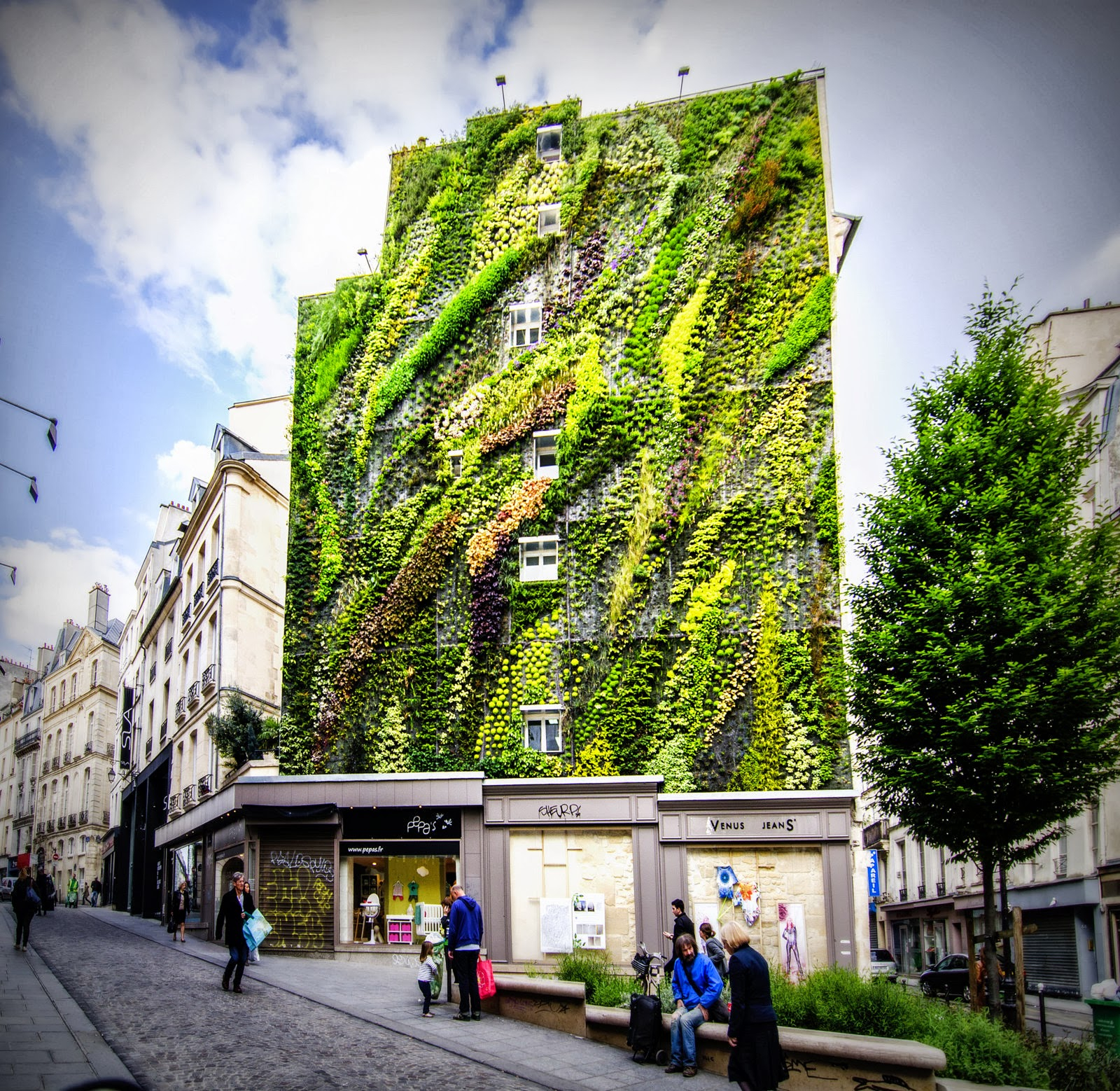 These Amazing Living Walls Make Us Green With Envy | Epic Gardening within Your Guide to a Thriving Living Wall on Your Patio or Side Yard