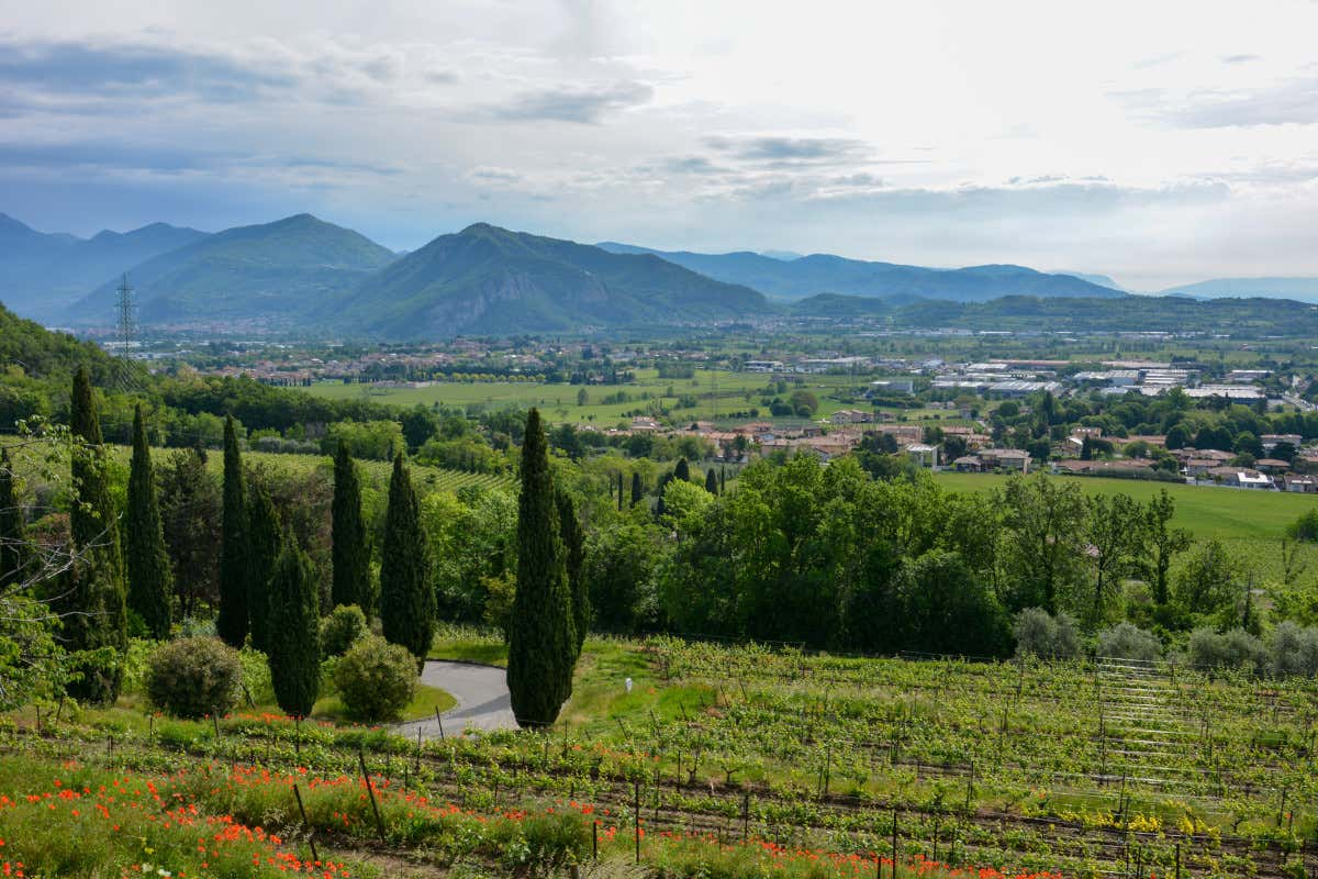 Tra I Borghi Di Corte Franca: Cultura, Cucina, Vino E Natura Del Lago D ... inside Alfianello