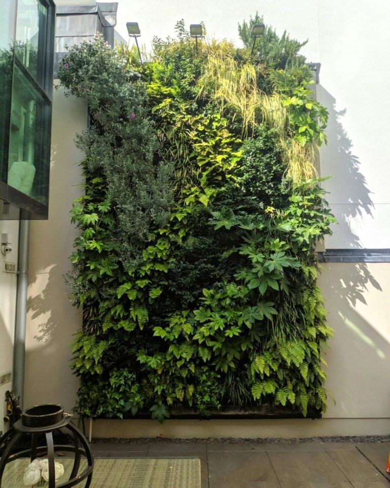 30 Stunning Green Living Walls: Transform Your Space With Nature ... inside Building a Healthier Home Through Green Technology