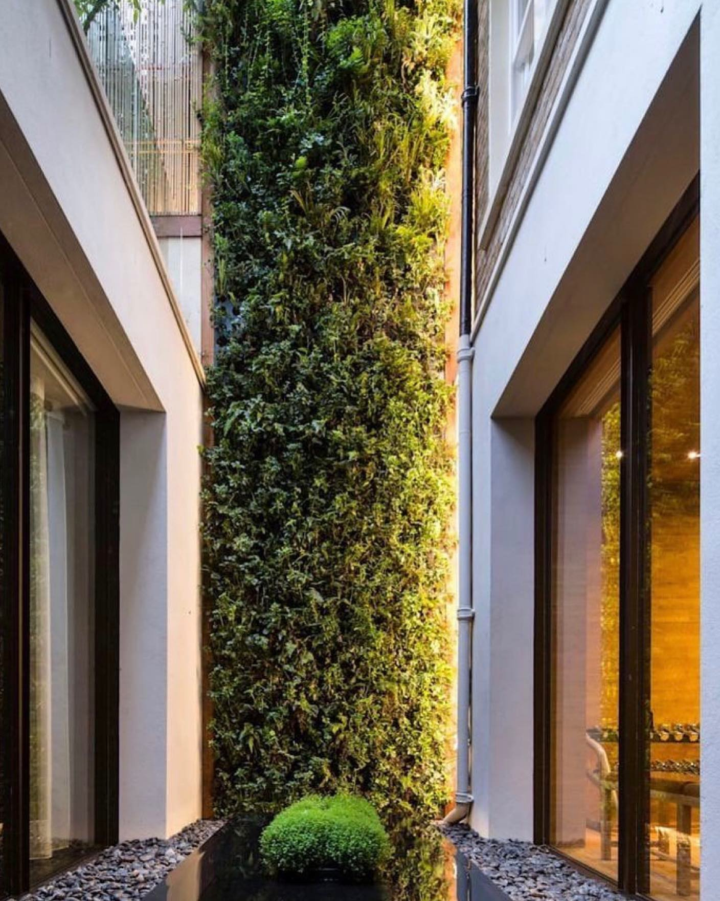 30 Stunning Green Living Walls: Transform Your Space With Nature ... with Building a Healthier Home Through Green Technology