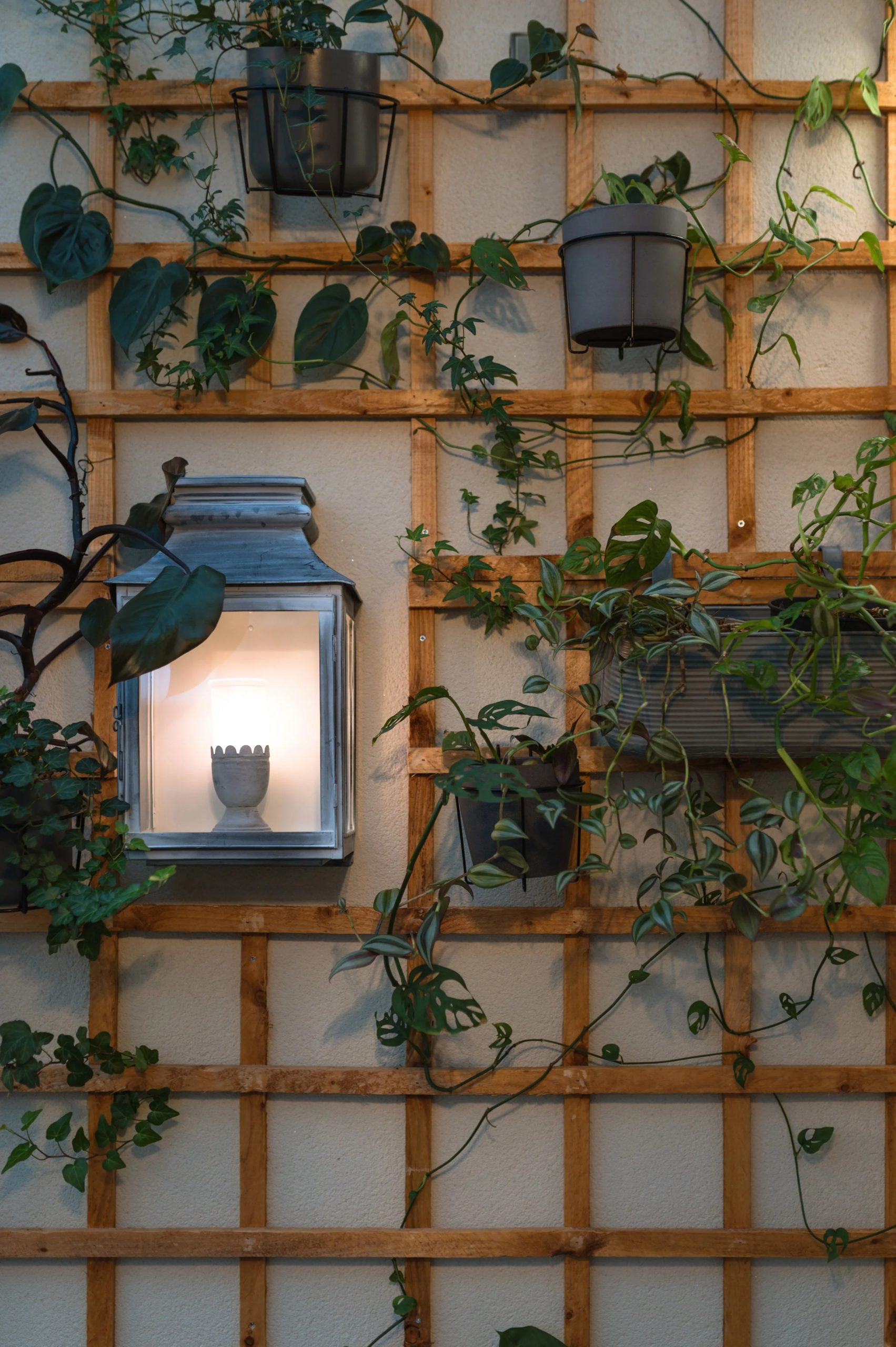 A Green Living Wall - Our Projects — Hastate Design regarding Building a Healthier Home Through Green Technology
