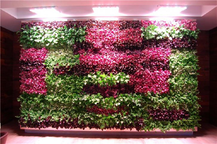 La Mar Miami's Stunning Green Living Wall with Healthy Home: How To Go Green With A Living Wall Or Roof