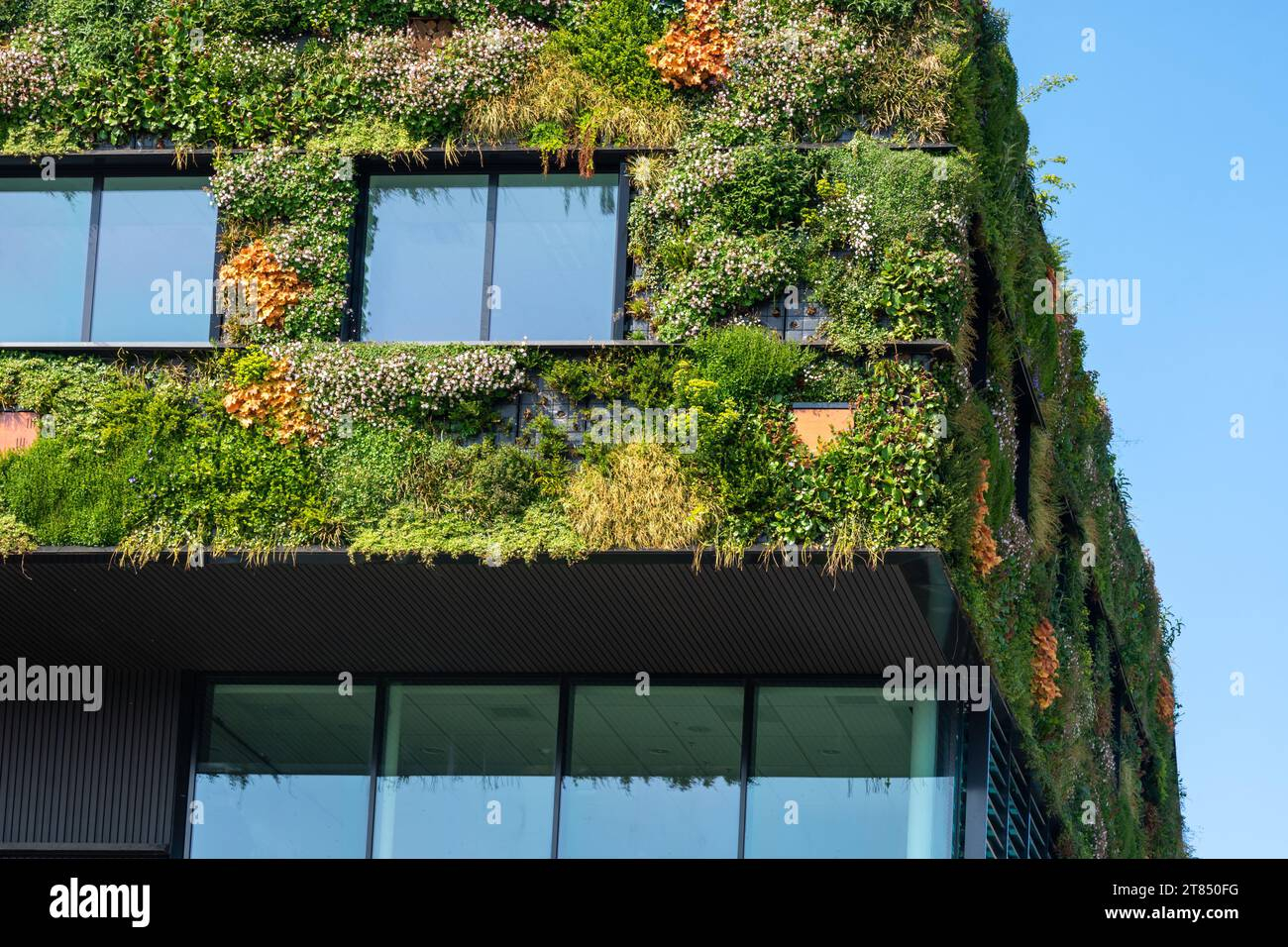 Modern Sustainable Building With Green, Living Wall With Variety Of ... intended for Building a Healthier Home Through Green Technology