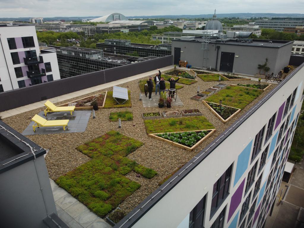 What Do Green Roofs Do? - Pritchard & Pritchard with Healthy Home: How To Go Green With A Living Wall Or Roof