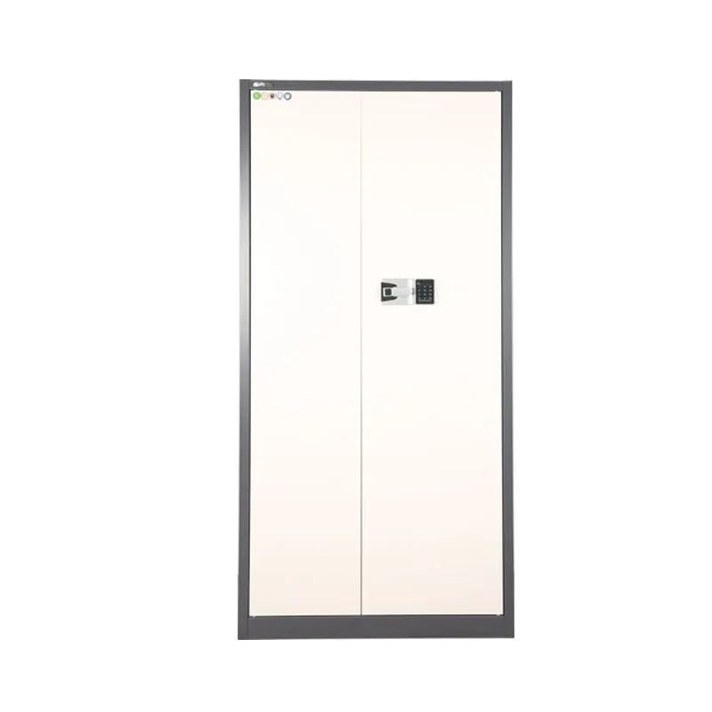 Luoyang Cbnt Steel Cabinet Co.,Ltd. pertaining to The Practical Benefits of Choosing Elegant VF2101 2 Doors Cabinet