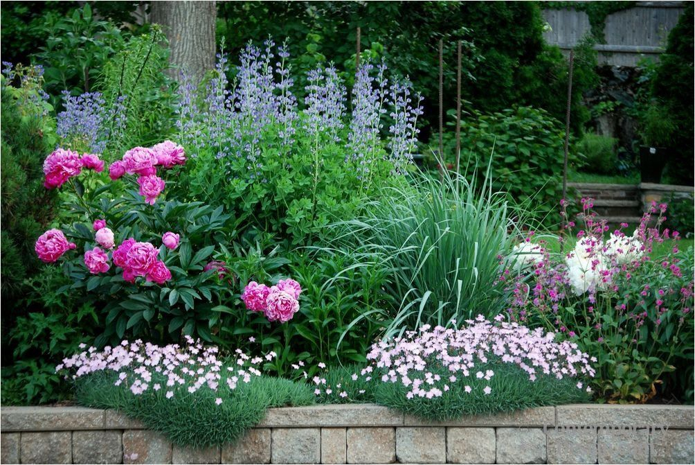 19 Full-Sun Perennial Garden Ideas To Try This Year | Sharonsable intended for Full Sun Perennial Garden Designs