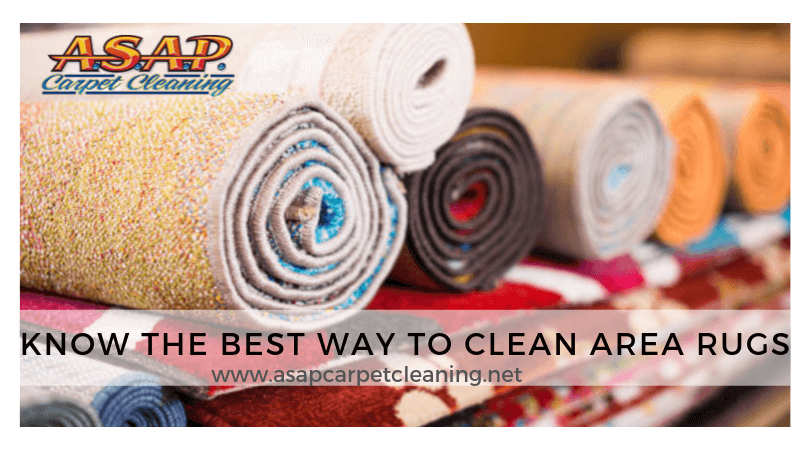 Best Way To Clean Area Rugs | Asap Carpet Cleaning for Laundry Rug Hacks