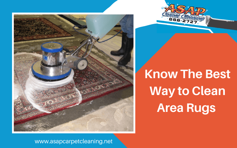 Best Way To Clean Area Rugs | Asap Carpet Cleaning for Laundry Rug Hacks